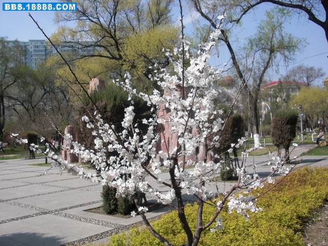 调整大小 CIMG2770.JPG