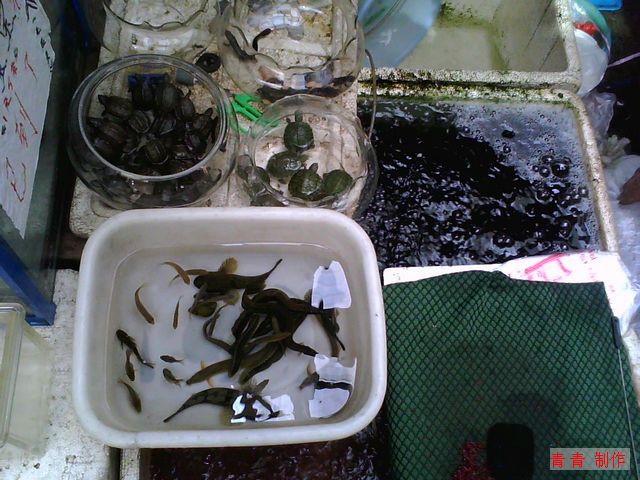 nEO_IMG_image20110513_103453.jpg