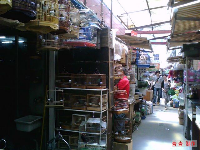 nEO_IMG_image20110513_104000.jpg