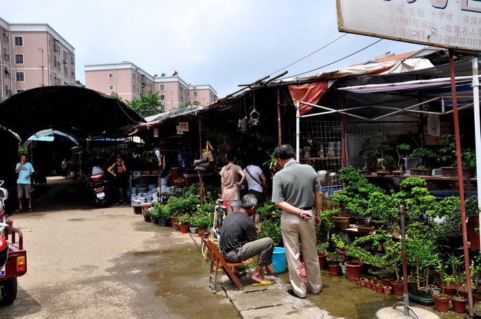 DSC_0234.JPG