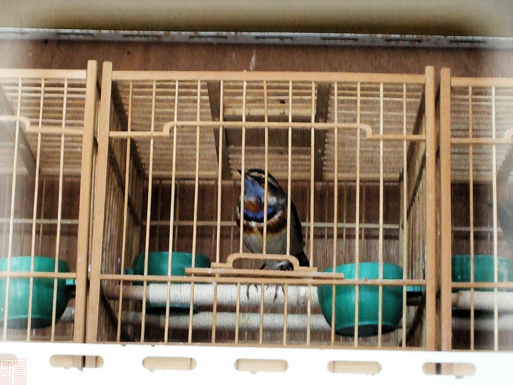 DSCF6917.JPG