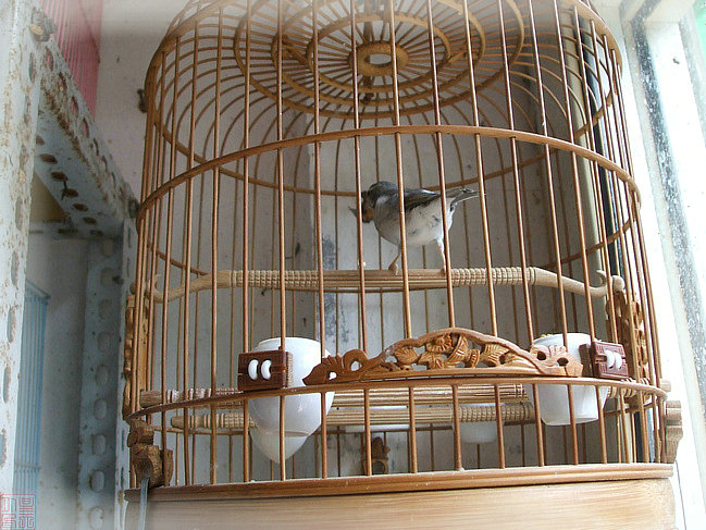 DSCF6934.JPG