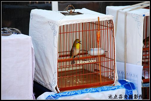 DSC_1032.jpg