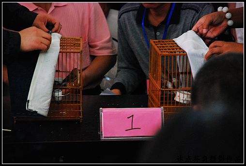 DSC_1020.jpg