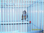 SDC11211.JPG