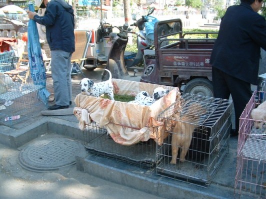 conew_conew_dscf0049.jpg
