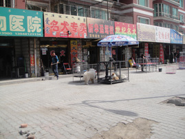DSC00922.jpg