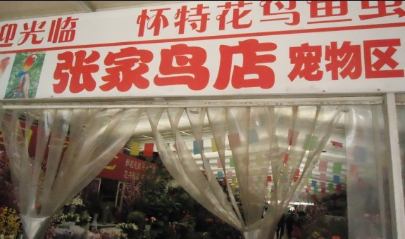 未命名3.jpg
