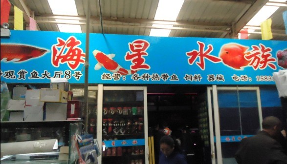 未命名40.jpg