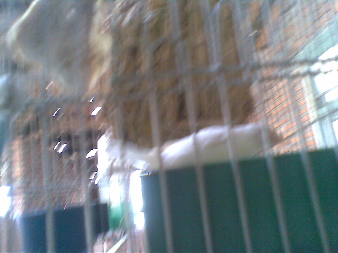 20110521(004).jpg