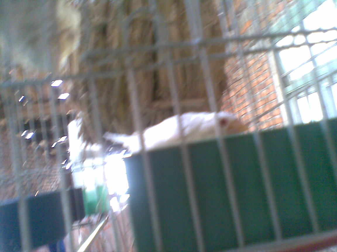 20110521(007).jpg