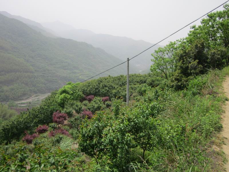 找窝地点3.JPG