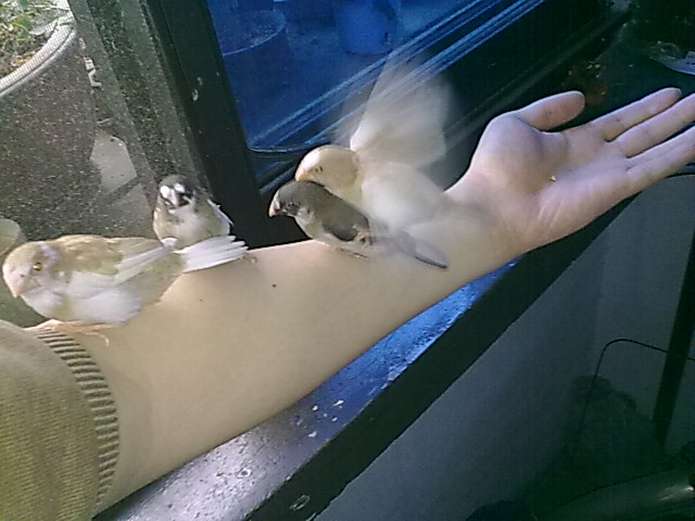 20110528167.jpg