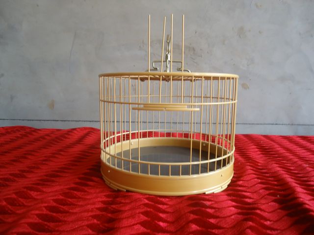 DSC00715.JPG