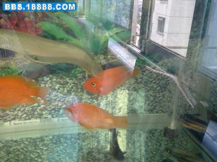 20110525686.jpg