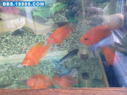 20110525680.jpg
