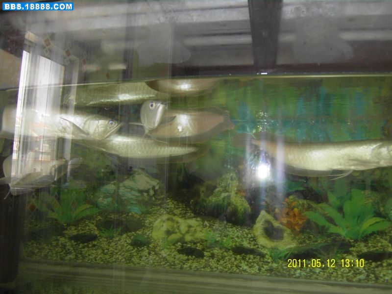 SDC11246新.jpg
