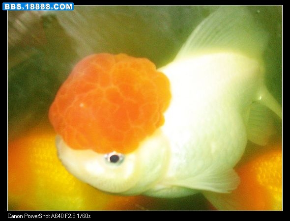 nEO_IMG_照片 034.jpg