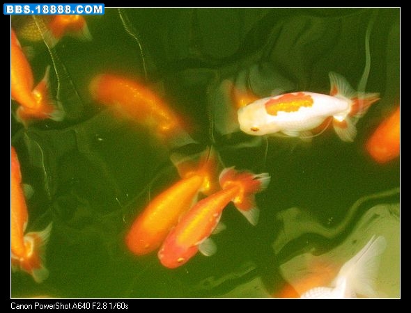 nEO_IMG_照片 020.jpg