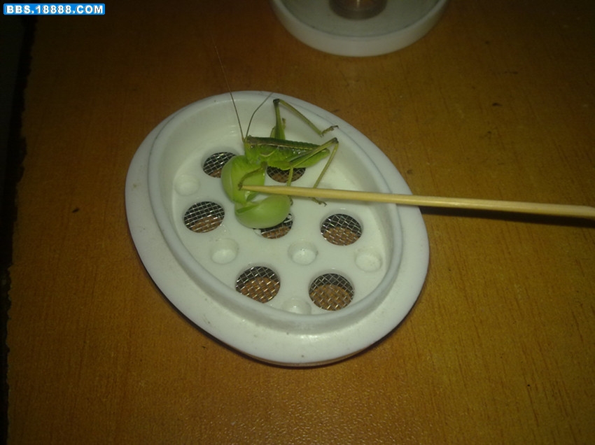 照片 005_副本.jpg