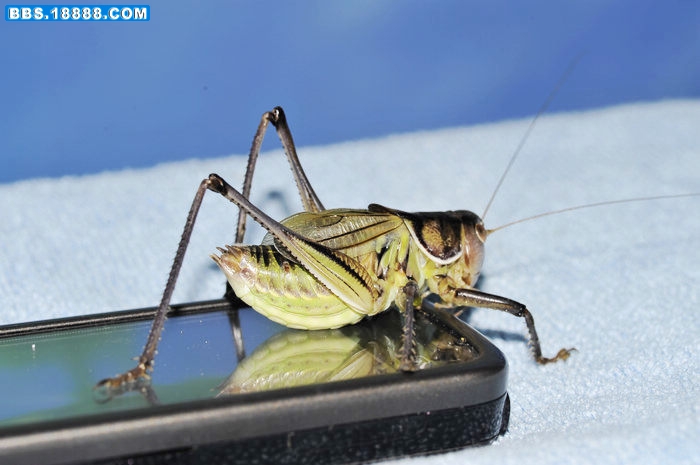 nEO_IMG__DSC7879.jpg