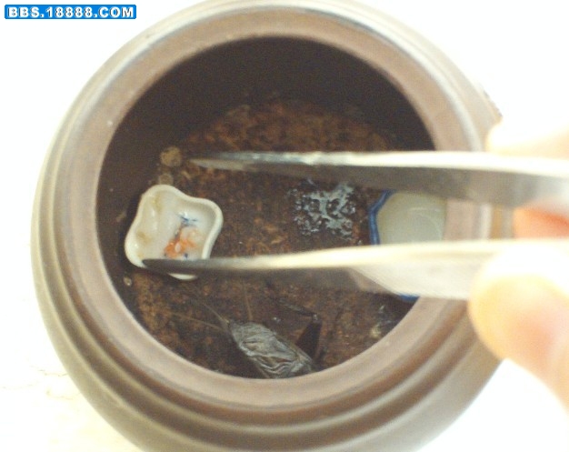 88.jpg