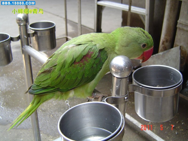 DSC03726.JPG