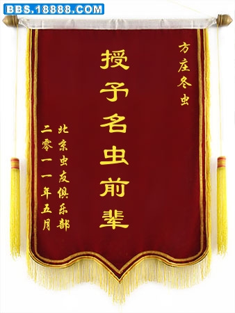 方庄冬虫.jpg