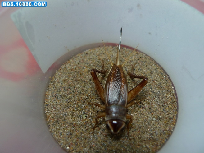 P1000755_调整大小.JPG
