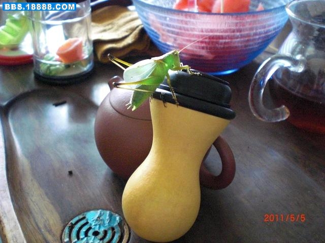 “西施”、竹蛉儿葫芦、扎嘴儿 3.JPG