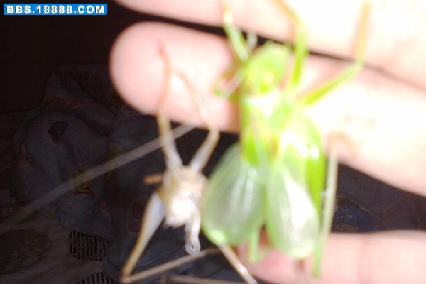 201105022800.jpg