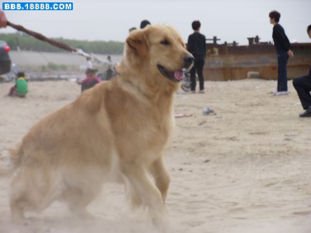 SAM_0358.jpg