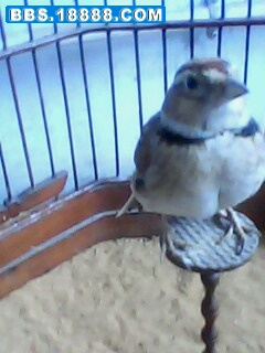 IMG0135A.jpg