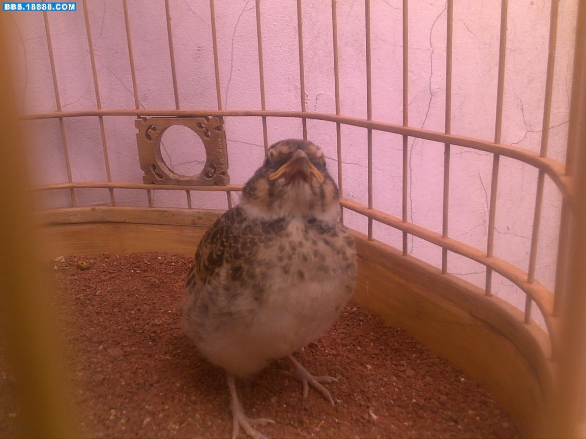 20110530893.jpg