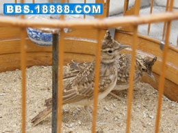 DSCF3429.jpg