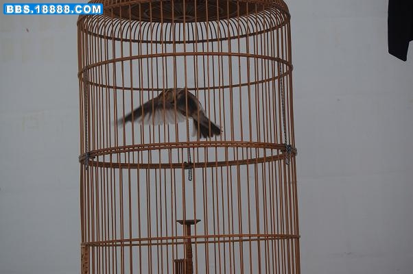 DSC_0020.JPG