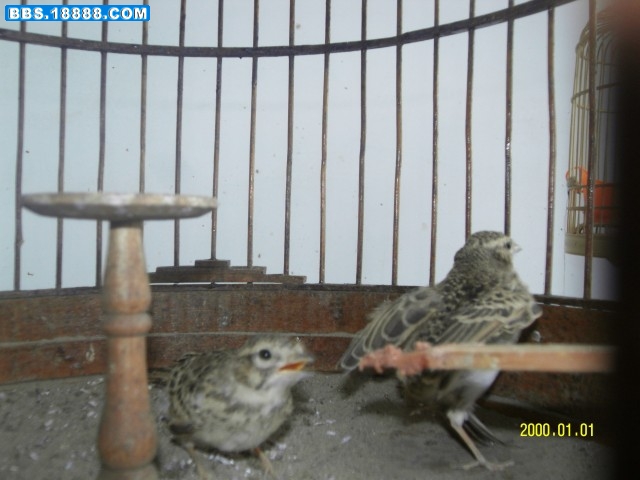 SDC10839.jpg
