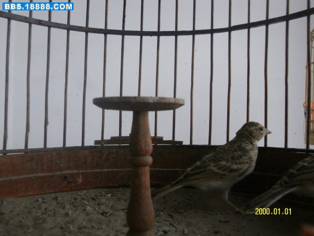 SDC10837.jpg