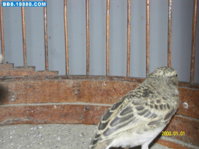SDC10842.jpg