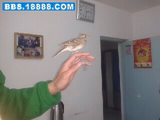 1305367924900.jpg