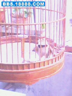 IMG0035A.jpg