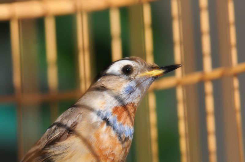 DSC_2714.jpg