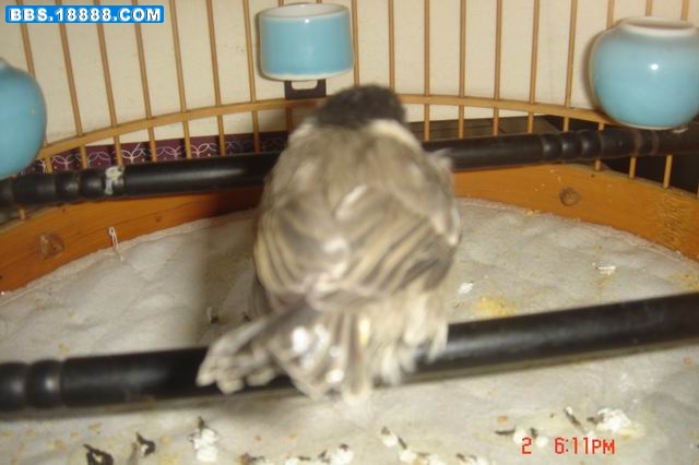 调整大小 DSC07948.JPG