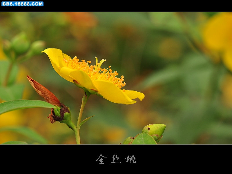 2011.6.34 041.jpg
