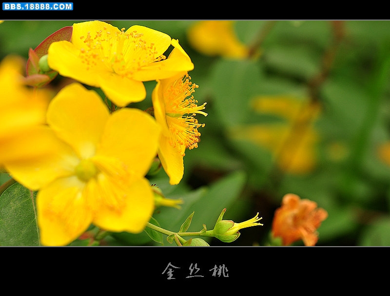 2011.6.34 046.jpg