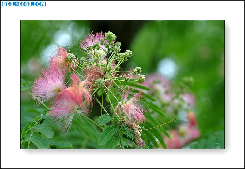 2011.6.3 147.jpg