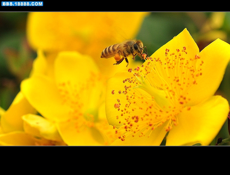 2011.6.34 063.jpg