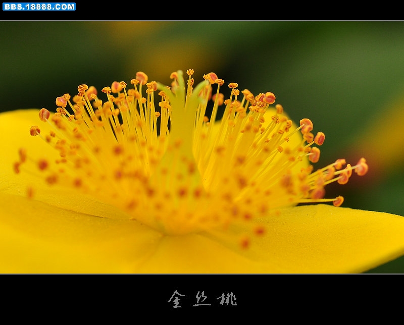 2011.6.34 060.jpg