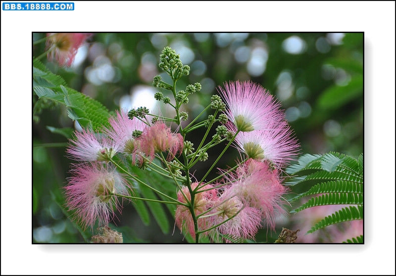 2011.6.3 169.jpg