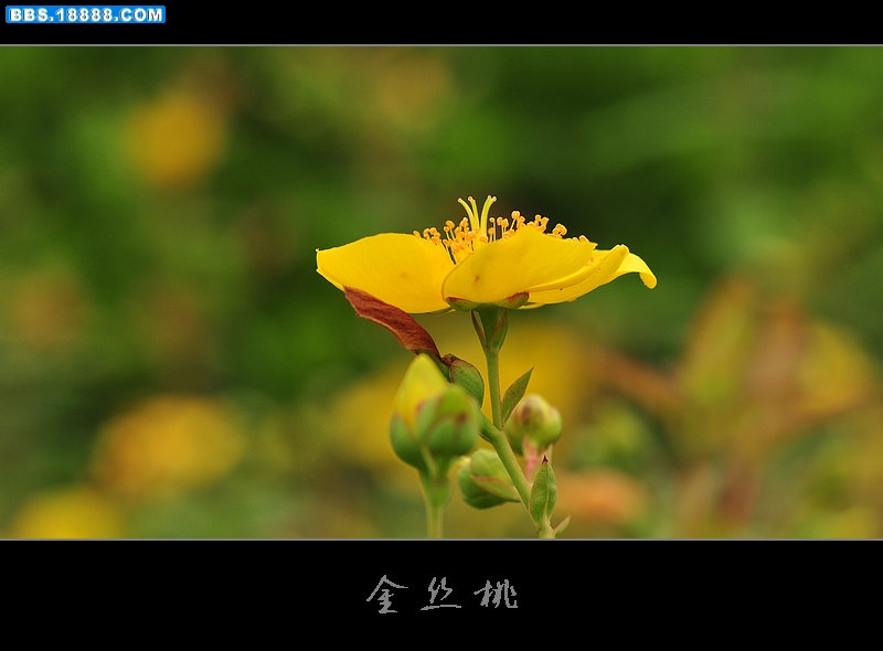 2011.6.34 043.jpg